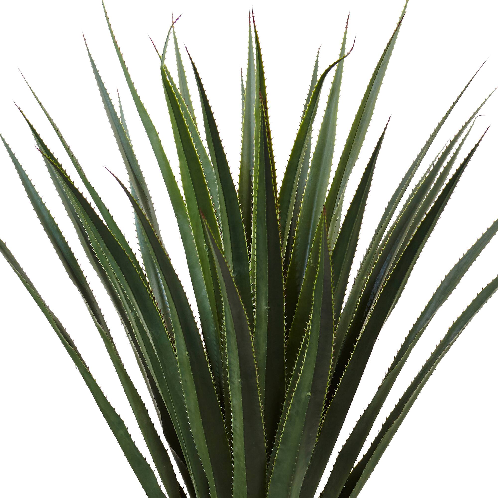 5ft. Spiked Agave Plant in Cement Planter